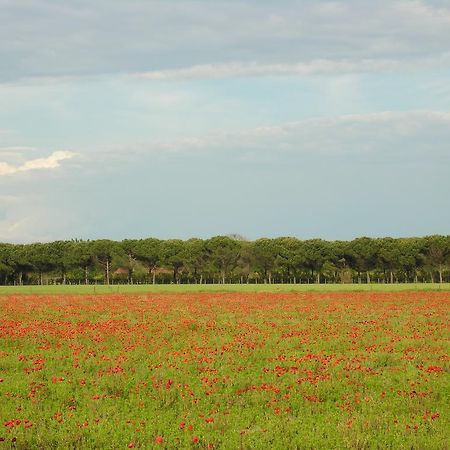 Appartamenti Mirella Bibione Esterno foto