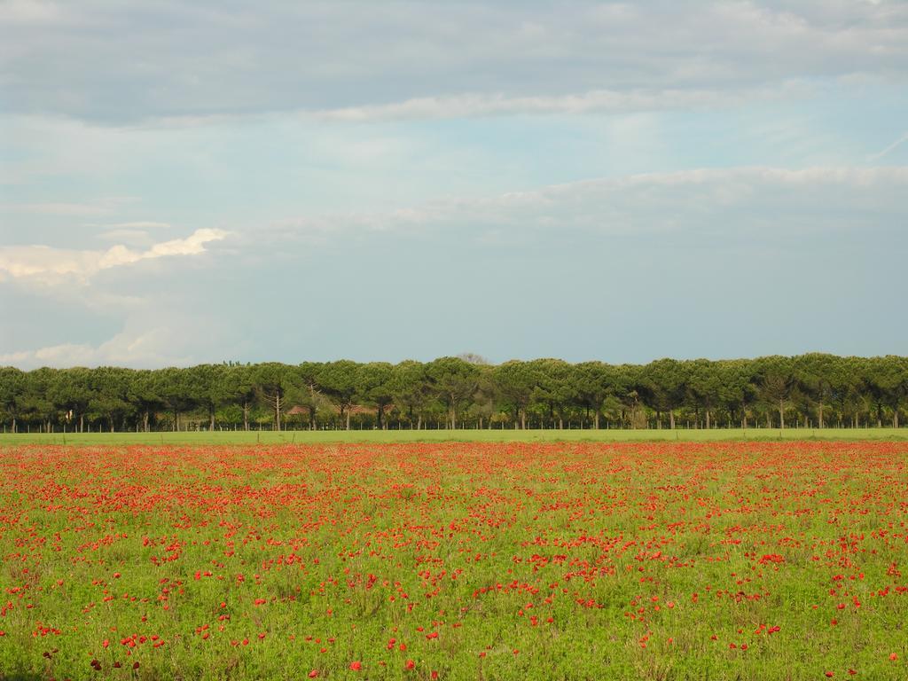 Appartamenti Mirella Bibione Esterno foto